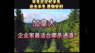 360行最适合的移民通道！第六集：企业家移民通道