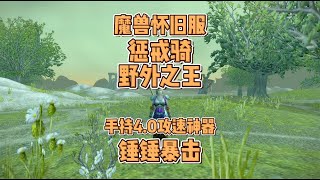 魔兽世界一命模式：惩戒骑拿4.0攻速神锤，野外爆锤怪兽，猛！