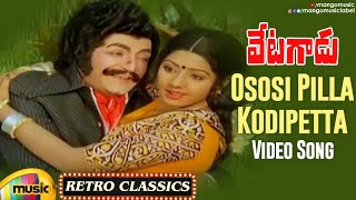 NTR Hit Songs | Ososi Pilla Kodipetta Video Song | Vetagadu Movie | NTR | Sridevi | Mango Music