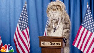 Audience Suggestion Box: Adam Sandler Minions, Cat Politicians