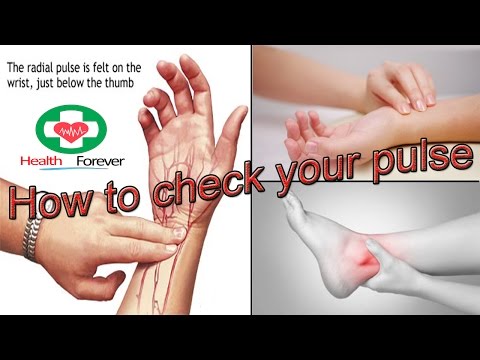 How to check pulse rate | How to check pulse rate on wrist How to check pulse rate | How to check pulse rate on wrist