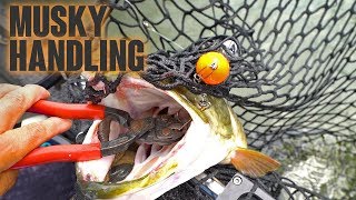 Musky Handling (How to) - AMAZING JUMP!!