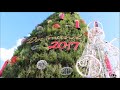 der größte weihnachtsbaum der welt dortmund 2017 Über 45 meter hoch und 30 tonnen schwer