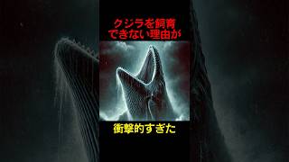 クジラを飼育できない理由が衝撃的すぎた#雑学#動物#クジラ