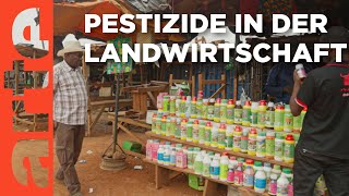 Elfenbeinküste: Pestizide und die Folgen | ARTE Reportage