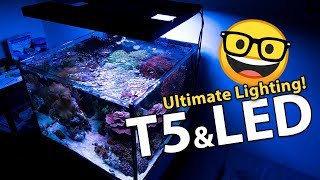 Switched to T5 Hybrid from LED!! (AquaticLife T5 Hybrid Fixture Review)