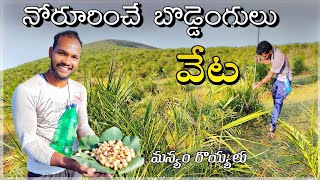 బొడ్డెంగుల వేట |మన్యం రొయ్యలు|Boddengulu veta@ Paderu Tribal Culture channel