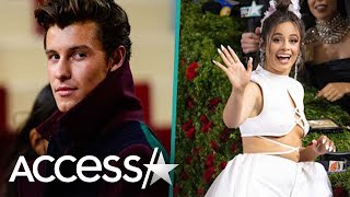 Did Shawn Mendes & Ex Camila Cabello Reunite At Met Gala?