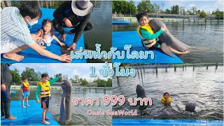 ว่ายน้ำกับปลาโลมา ในราคา 999 บาท ที่ Oasis Seaworld จันทบุรี