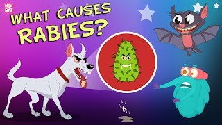 What Causes Rabies? | The Dr. Binocs Show | Best Learning Videos For Kids | Peekaboo Kidz