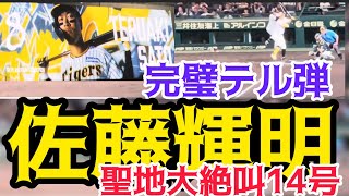 【弾丸炸裂完璧弾】 #阪神 #佐藤輝明  選手 同点ホームラン 24.9.15 .🆚#東京ヤクルトスワローズ🏟#阪神甲子園球場