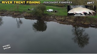 RIVER TRENT FISHING FOXCOVERT PADDOCK PART 1 BARBEL BREAM