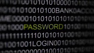 How to Encrypt and Hash Passwords Using Python