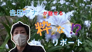 𠮷田圭吾アナ　季節の花を愛でる粋な⁉リポート