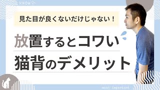 【見た目以上に深刻！】ほっておくと後が大変！今こそ知るべき猫背のデメリット