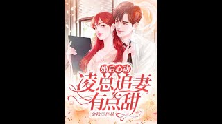 有声小说 有声书【凌总追妻有点甜】- 25