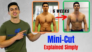 Mini Cut Explained When How To Do A Mini Cut