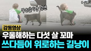 울적해진 5살 꼬마 위로하는 길고양이 \