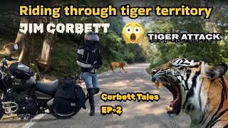 Jim Corbett || Riding through tiger 🐅 territory || Awesome experience ||  EP-2 #jimcorbett #tiger