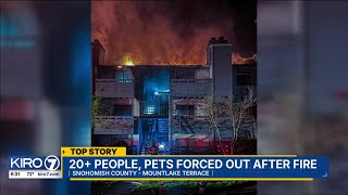 Two rescued, over 20 displaced after apartment fire