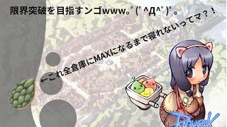 【RO】ドラゴンの皮全倉庫にマックスまるまで寝れまてん【水無月ちこ/個人vtuber】