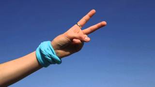 Peace Hand Sign Victory Hand Sign - Free Photos And Art
