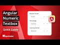Angular Numeric Textbox: The Ultimate Feature Walkthrough