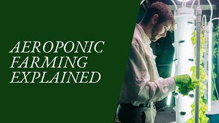 Aeroponic Farming Explained | Copiana