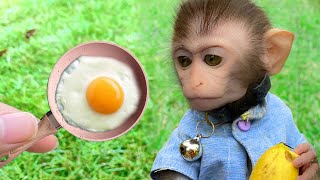 Monkey Baby Bim Bim eats mini eggs and swims with puppy, So cute ducklings, koi fish, goldfish