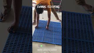 The Best Kennel Flooring for Your Dog | cj farms#plasticslattedfloor #dogcagefloor #dogcage