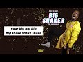 mikel the energy big shaker lyric video