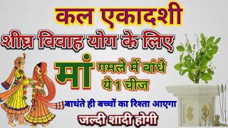 जल्दी शादी होने के लिए करें पुत्रदा एकादशी पर तुलसी का ये आसान उपाय|Jaldi Shadi|#marriage #ekadashi