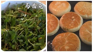 Wild vegetables: two ways to eat purslane | 野菜：马齿苋的两种吃法:#凉拌马齿苋和#马齿苋煎饼