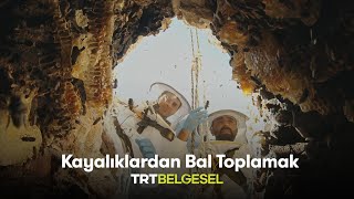 Kayalıklardan Bal Toplamak | Ailenin Yeni Üyesi: Türkiye | TRT Belgesel