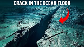A Mysterious Crack Split Opens the Ocean Floor and Scientists Are Stumped