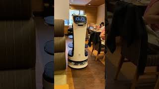 #Japan is living in the #future! #Robot #Cat waiters in a restaurant!