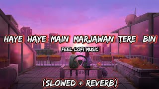 Haye Haye Main Marjawan Tere Bin Lofi || Bole Chudiyan (slowed + Reverb) || Feel Lofi Music