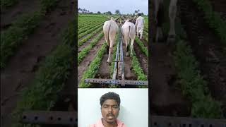 ஓல்ட் இஸ் கோல்ட் 💥💥 #agrotechnology #agriculturaltechnology #agrimachines #agriculture #automobile 🤔