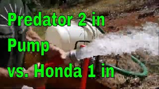 Harbor Freight Predator 2 in Water Pump vs  Honda 1 in  Which is Better and Why