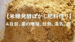 【米糠発酵ぼかし肥料作り4日目】白カビ発生、発酵熱、水分量低下で水を足すべきか