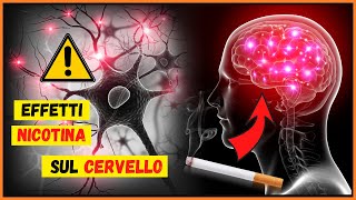 Effetti della nicotina sul cervello: come agisce sul sistema nervoso? Come nasce il vizio del fumo?