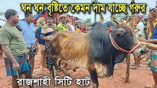 25/9/2024 বৃষ্টিতে গরুর দাম কেমন চাচ্ছে বেপারীরা । রাজশাহী সিটি পশুর হাট । গরুর দাম । গরুর বাজার 24