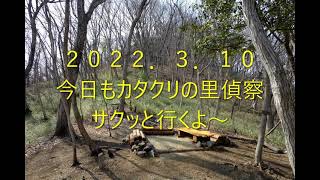 2022 3 10 足利市　両崖山　カタクリの里を偵察