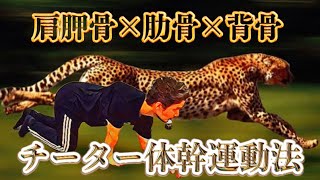 【肩胛骨×肋骨×背骨】チーター体幹運動法【フィジカリストOuJi】