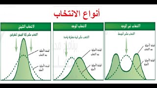 صياغة ملامح النظرية التطورية  ـ الجزء الثاني