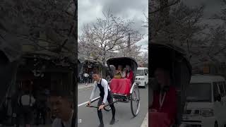 嵐山【京都】桜🌸 Arashiyama【Kyoto】cherry blossoms