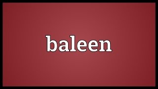 Baleen Meaning