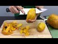 recipe 87 how to make papaya mango carrot smoothie home cooking lifestyle