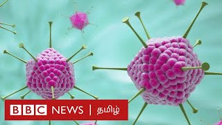 கண்டம் விட்டு கண்டம் பரவும் Corona virus - நீங்கள் செய்ய வேண்டியது என்ன? - TN Doctor magizhmaran