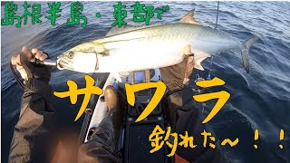 2019.10.28-山陰・島根半島カヤックフィッシングで！キた青物はヒラマサじゃなくサワラだった・・・